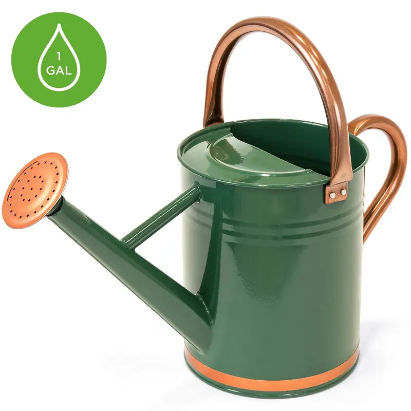 1-Gallon Galvanized Steel Watering Can With O-Ring Seal And Top Carry Handle 1
