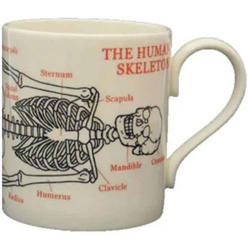 Anatomical Human Skeleton Ceramic Mug For Students And Educators 1