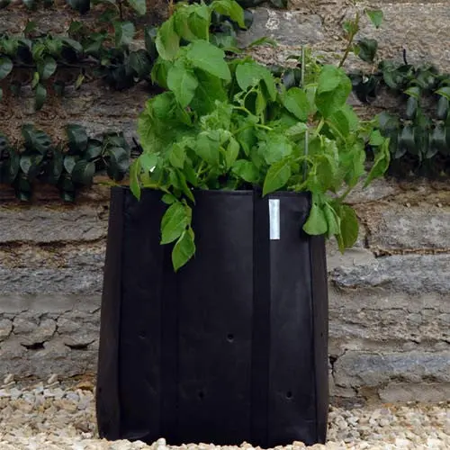 Burgon & Ball Dual Potato Growing Bags (2-Pack) 1