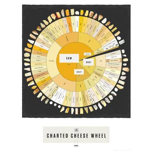 Charted Cheese Wheel Poster – Gourmet Infographic Wall Art 1