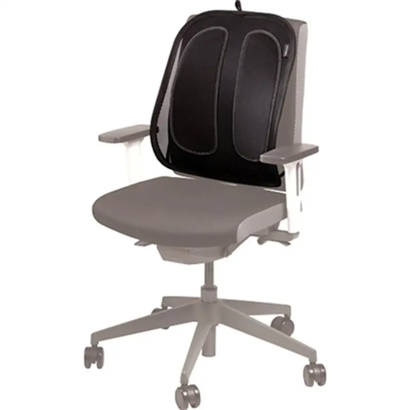 Fellowes Ergonomic Seat Back Support – Adjustable, Black Plastic (Model 9191301) 1