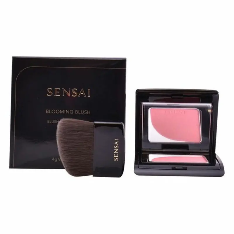 Kanebo Blush Compact – 4 G Creamy Finish Cheek Color 1