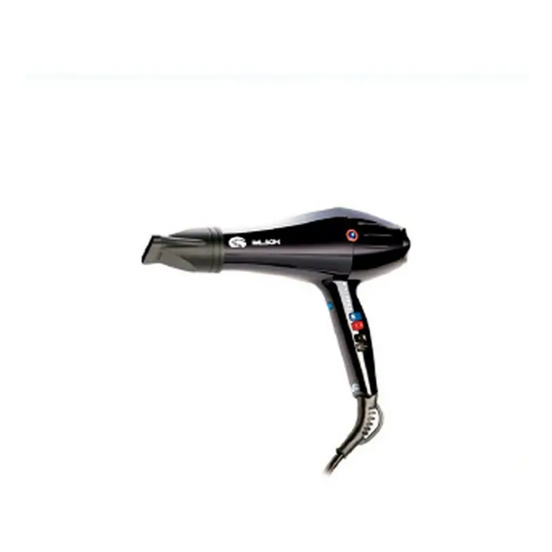 Palson Professional Hair Dryer – High-Performance Black Styler 1