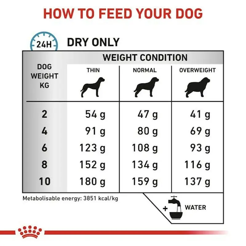 Royal Canin Adult Dry Dog Food For Birds Flavor — 3 Kg Bag 1