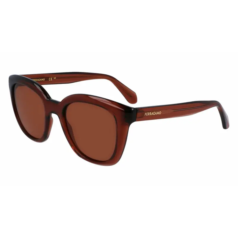 Salvatore Ferragamo Women'S Sunglasses – 52Mm Polished Acetate 1