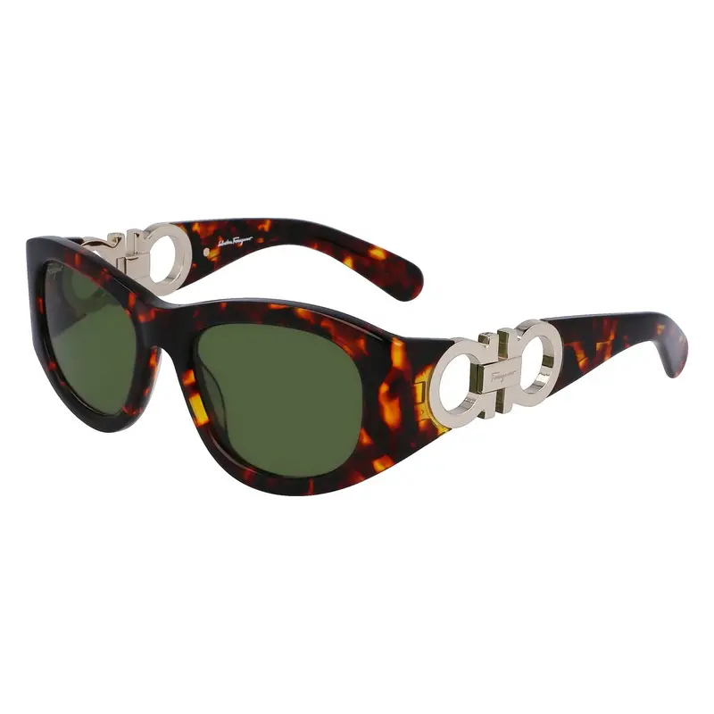 Salvatore Ferragamo Women'S Sunglasses – 53Mm Lens Width 1