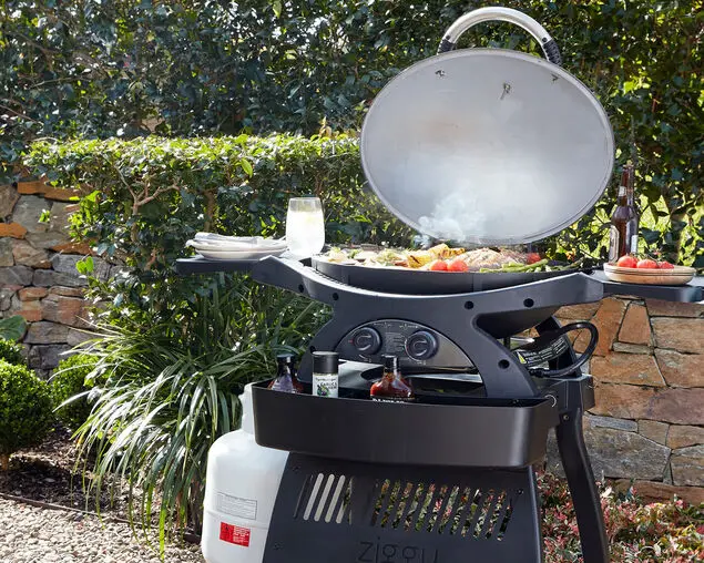 Ziegler & Brown Twin Grill Kit With Cart, Cooking Plate, Cover, And Grease Absorber 1